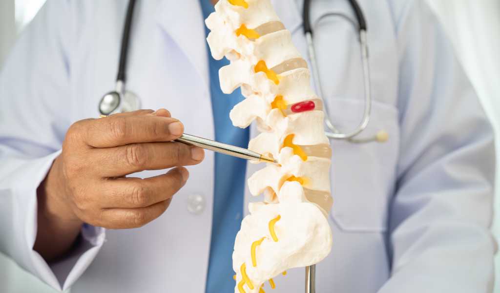 Chiropractor evaluating spinal disc injury and back pain