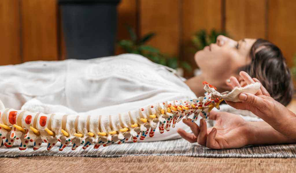 Chiropractor in south burlington vt | top rated chiropractor in south burlington, vt | chiropractor in south burlington vt