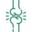 Chiropractor in south burlington vt | top rated chiropractor in south burlington, vt | chiropractor in south burlington vt